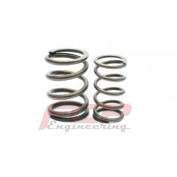 VW 2.0 16V ABF racing valve spring kit + titanium retainers