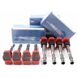 VW/Audi FSI/TFSI/TSI Beru high voltage ignition coil